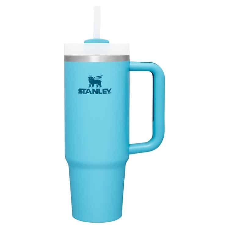 Stanley 30oz Tumbler Pool
