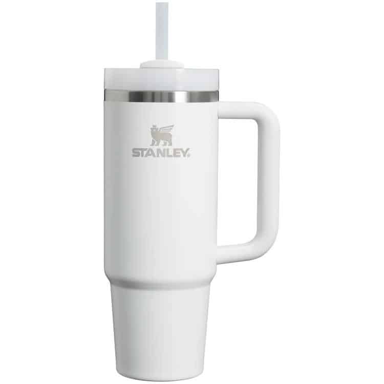 Stanley 30oz Tumbler Frost